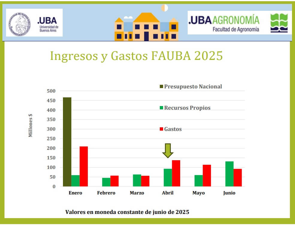 FAUBA 1