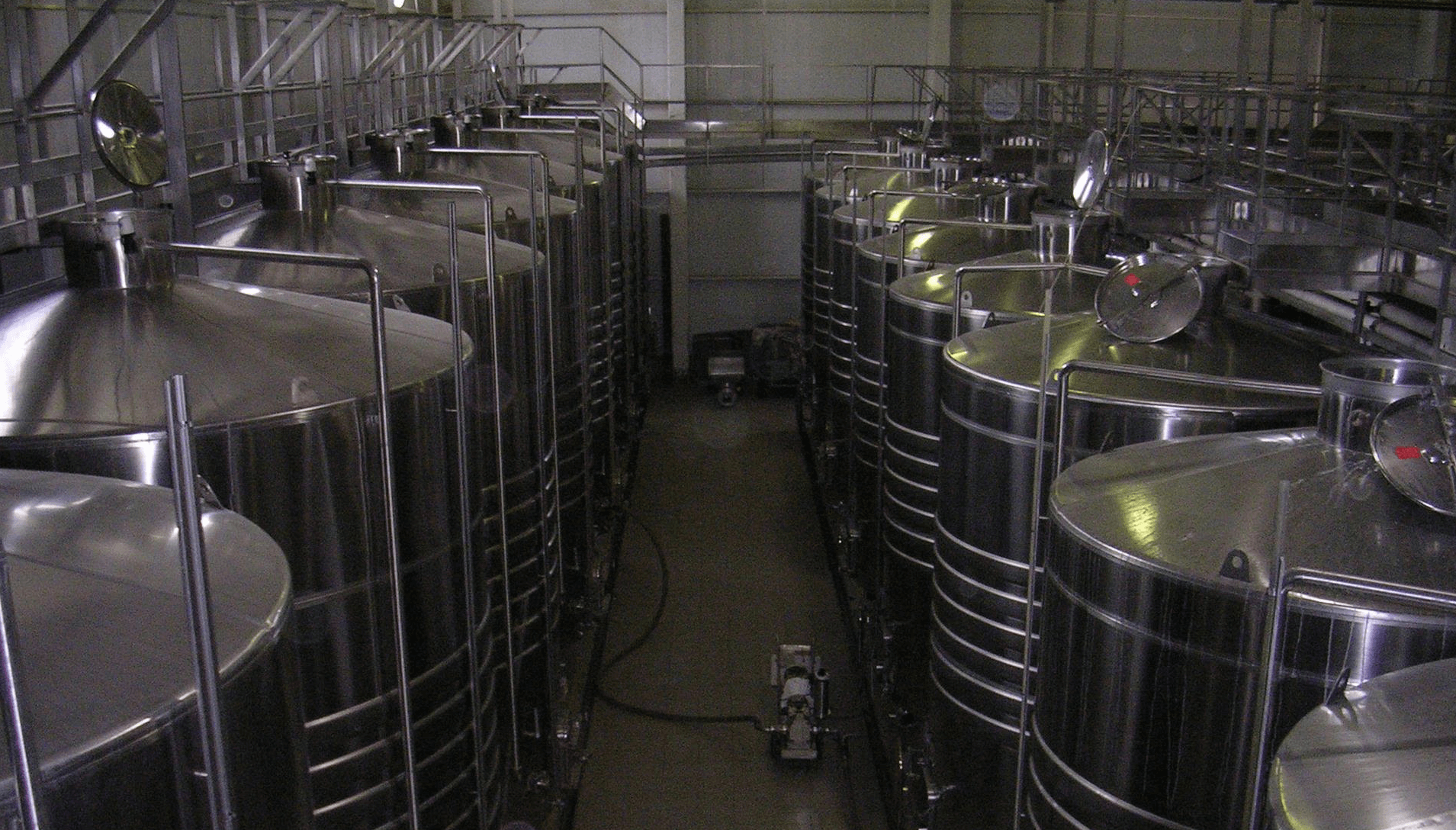 bodega sagyp