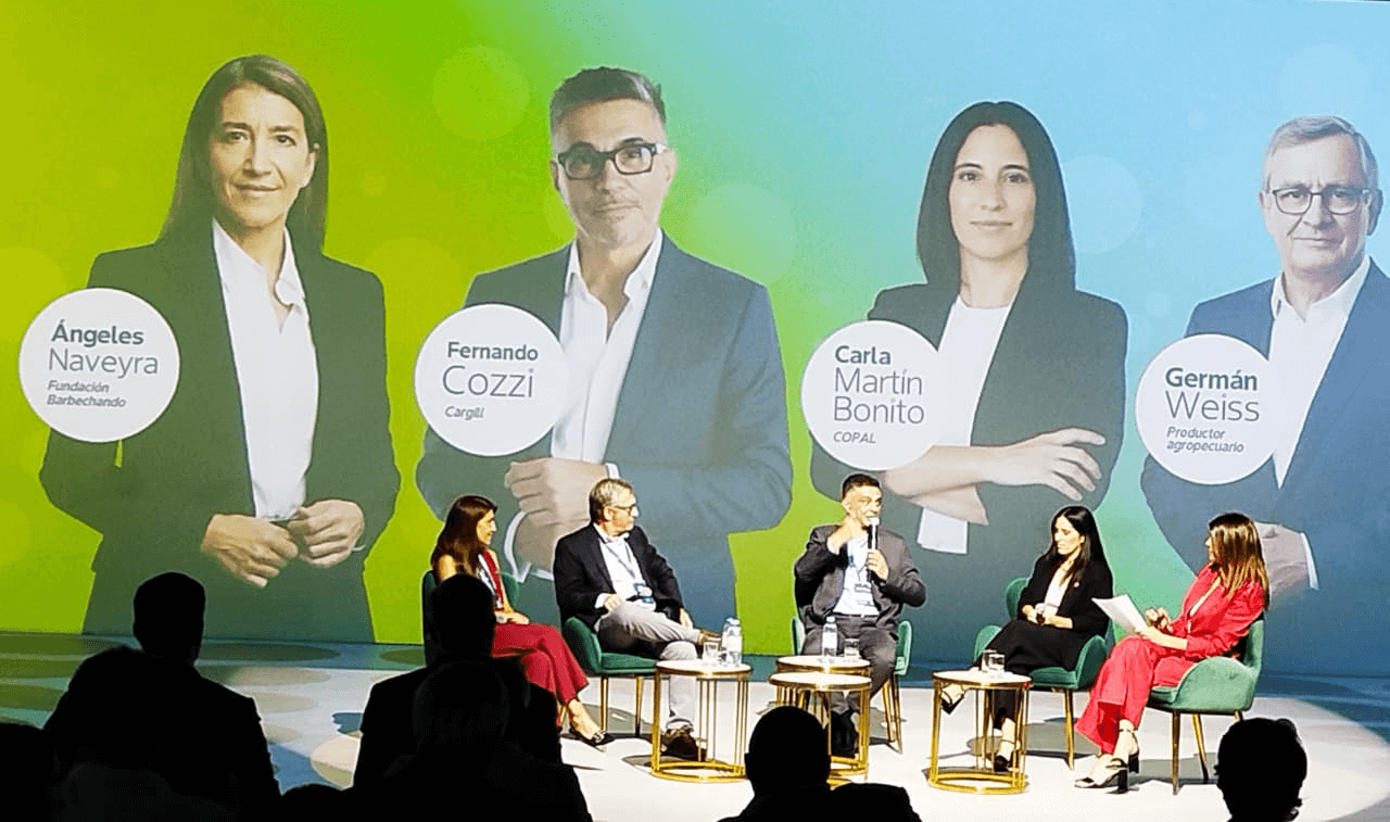 panel bayer