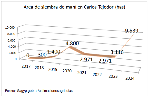 siembra mani tejedor