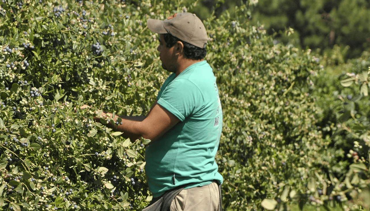 trabajador rural renatre