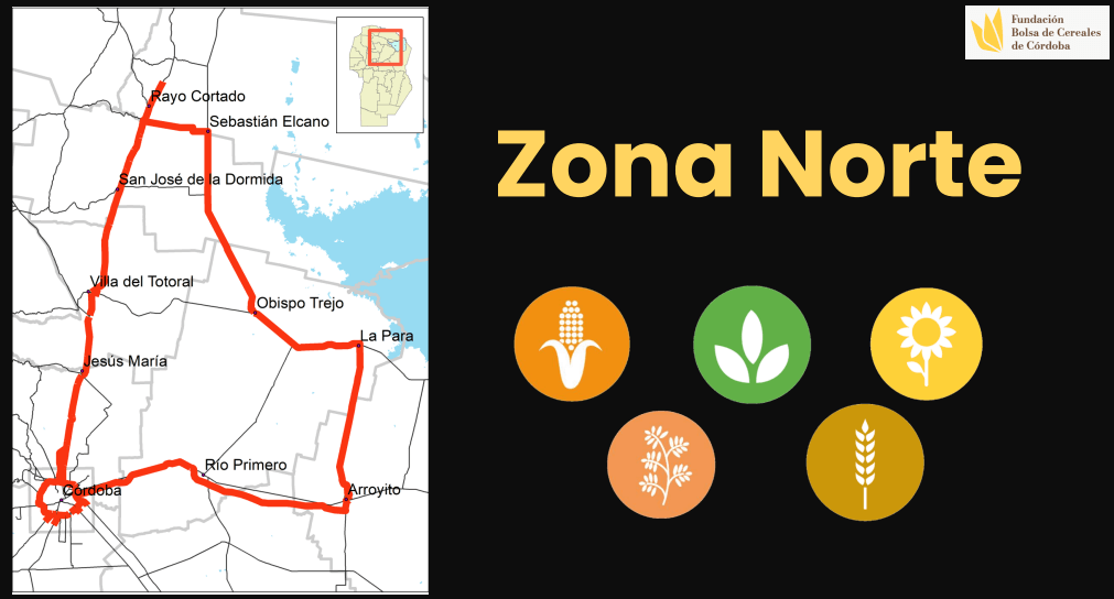 zona norte bccba