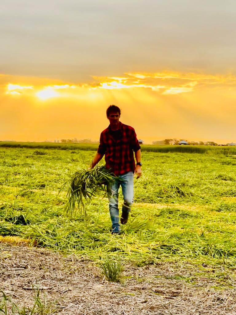 Tomas en el campo06