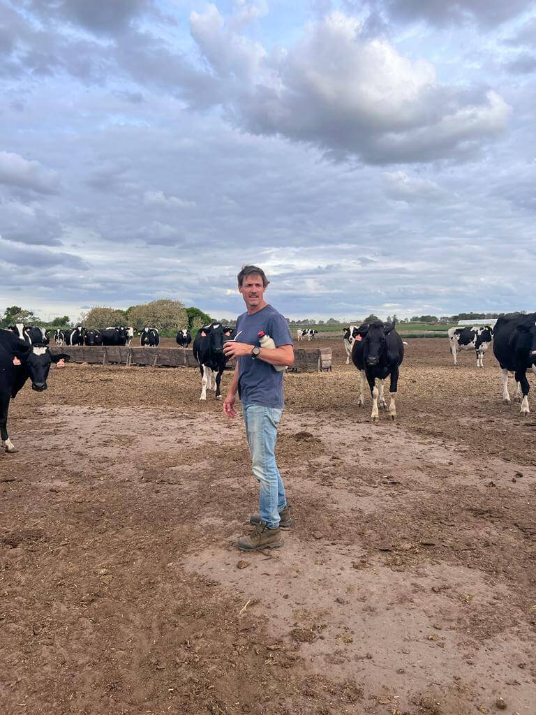 Tomas entre vacas