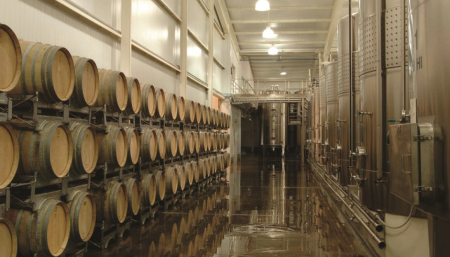 Bodega con barricas y tanques