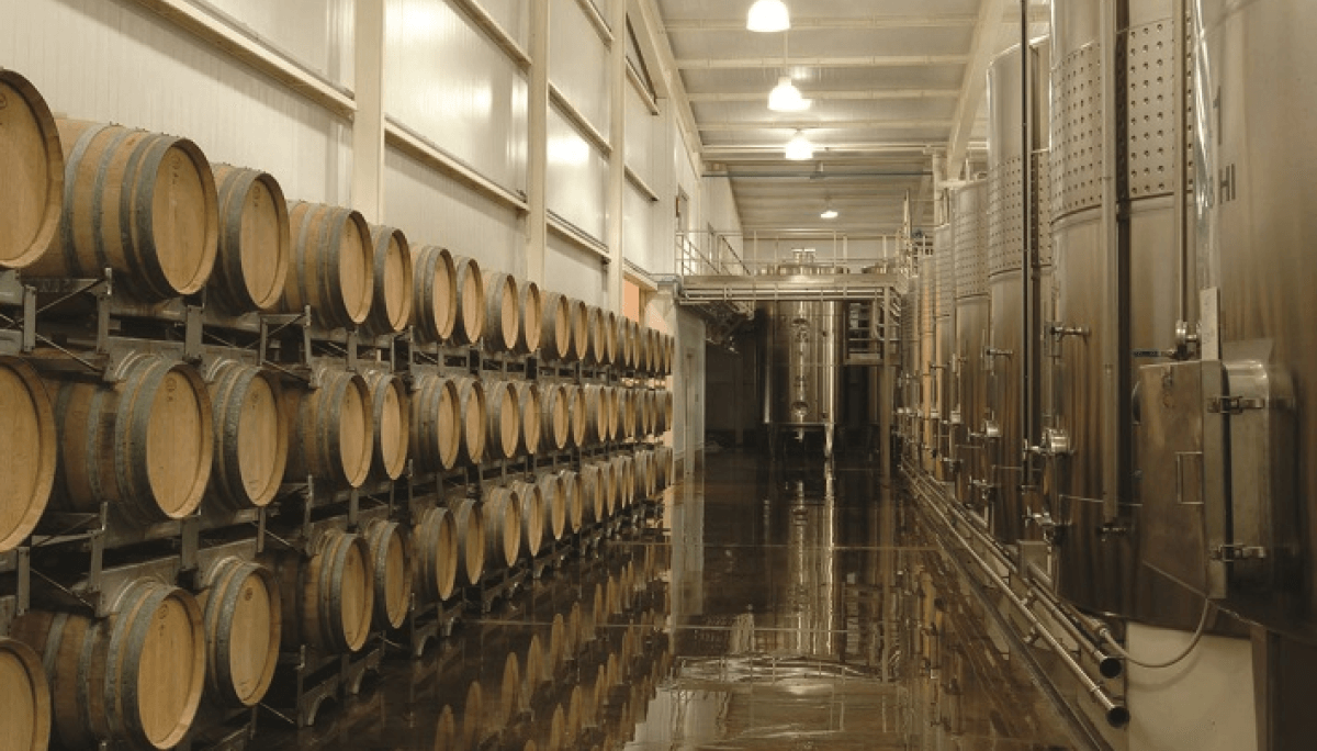 Bodega con barricas y tanques