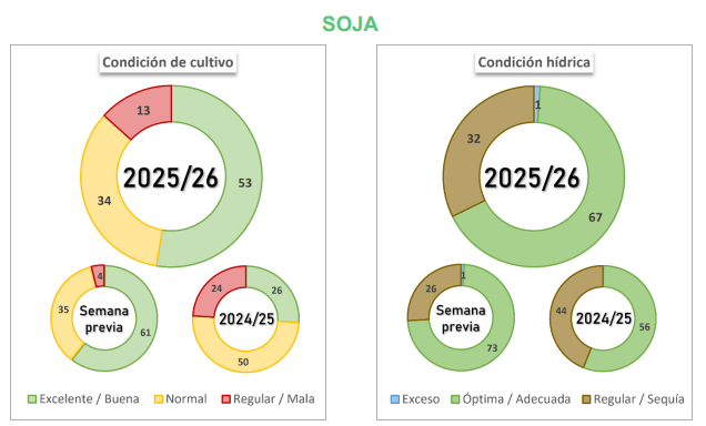condicion soja