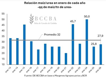 cordoba 4