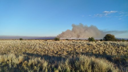la pampa incendio