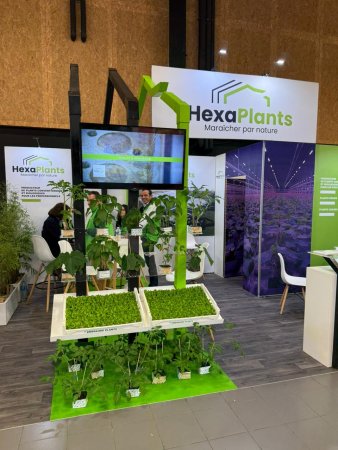 sival plantas