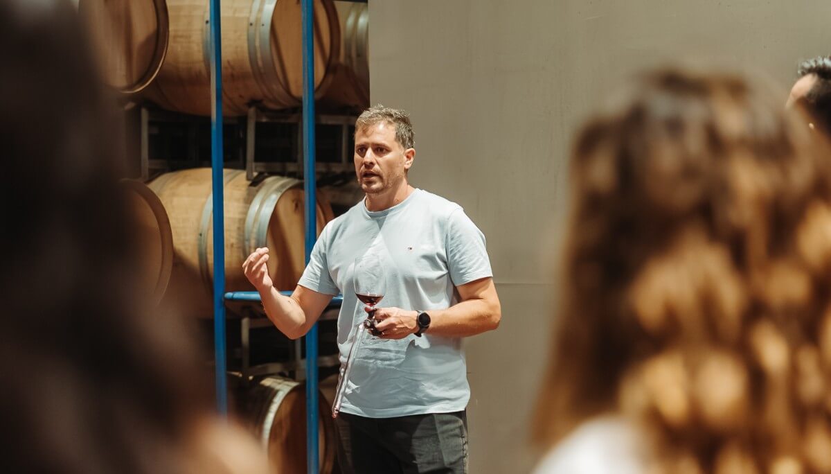 Vendimia nocturna: los secretos de una práctica que potencia la calidad y sustentabilidad del vino 1 DR CosechaNocturna 23