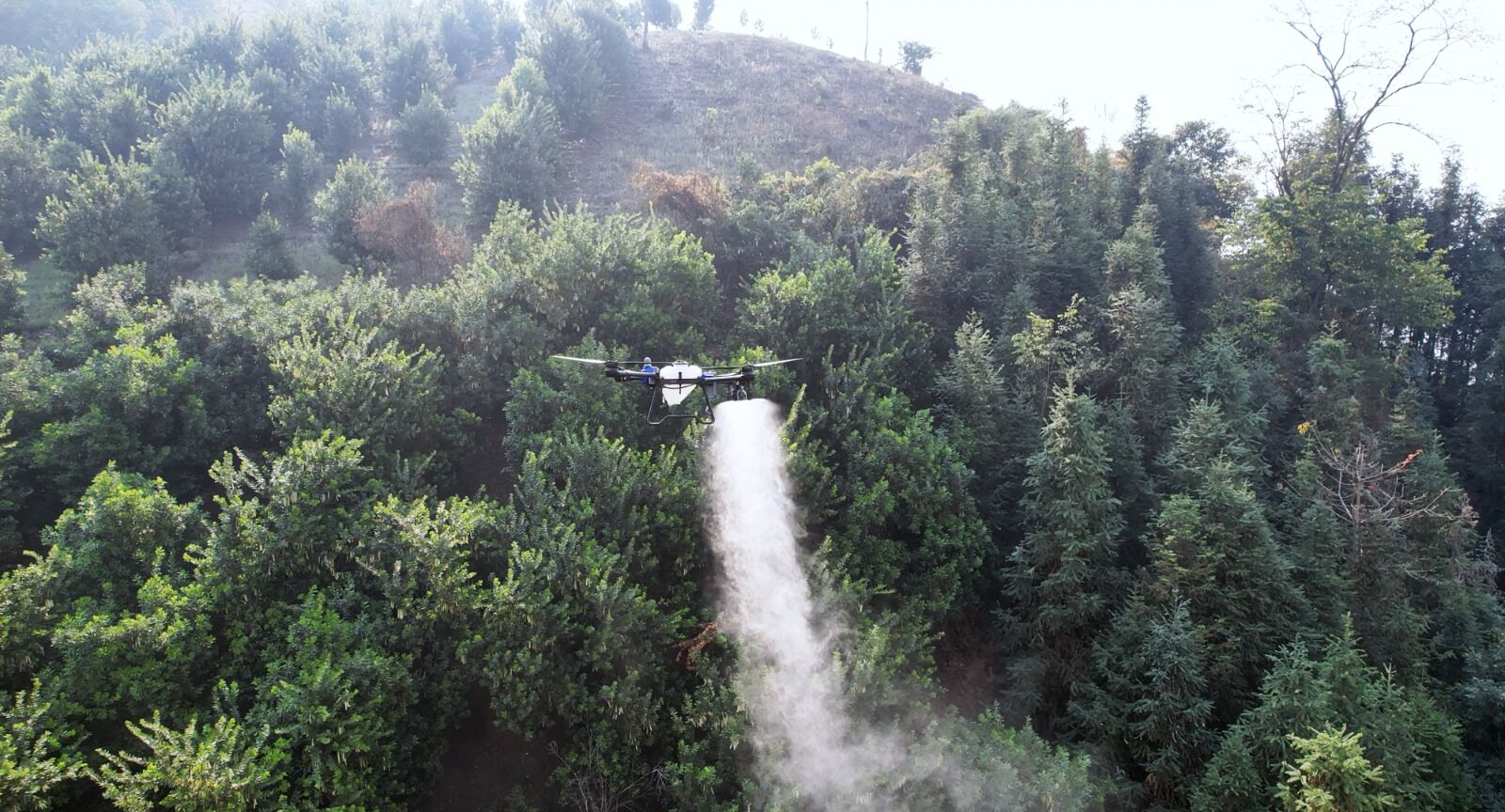 Dron 1