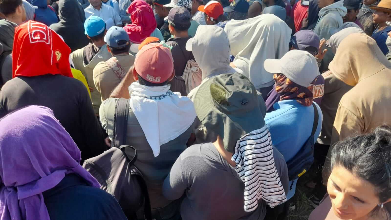 asamblea aceitunas