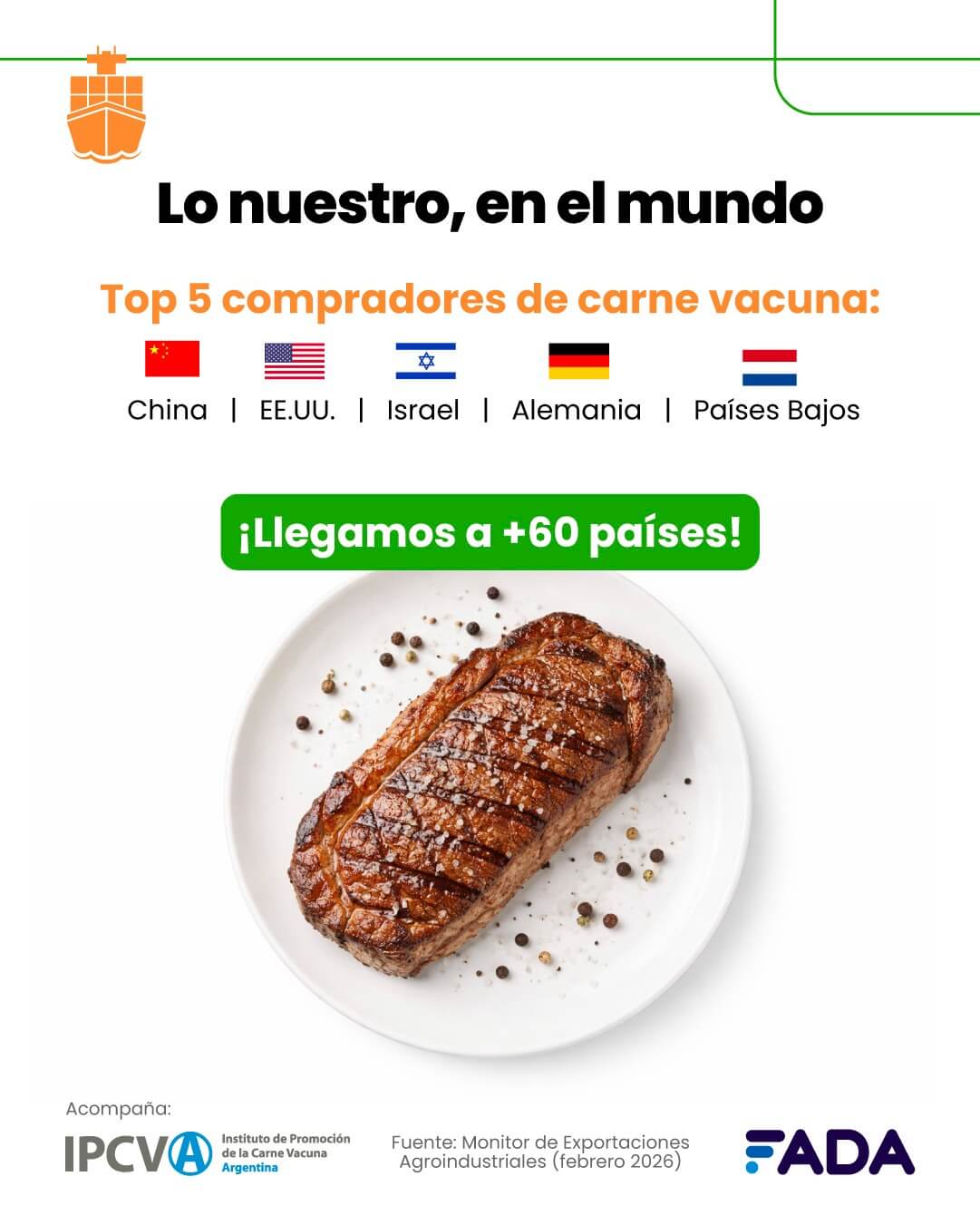 carne fada