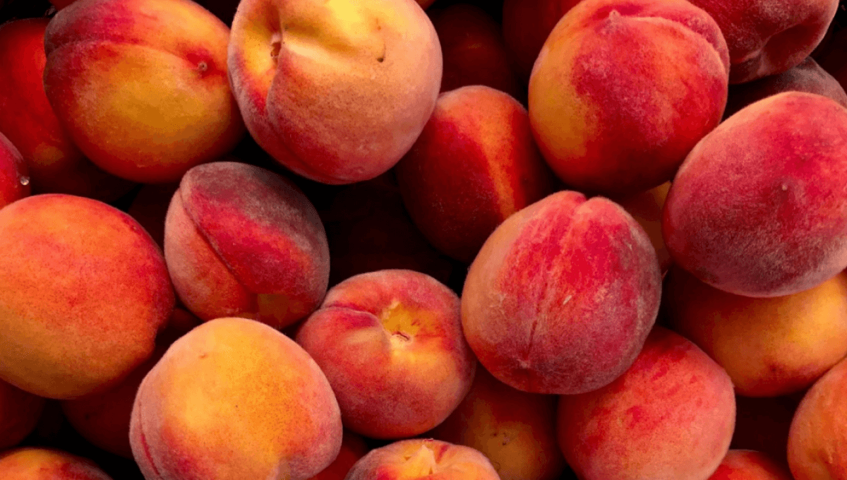 duraznos senasa