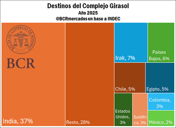 girasol 3 9