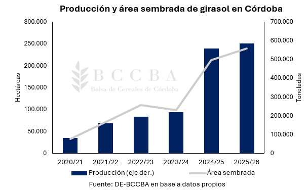 grafico grafico de barras el contenido generado 4