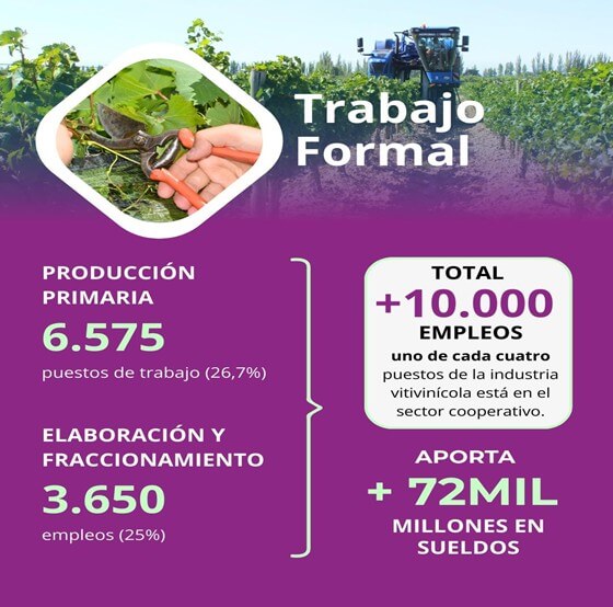 mendoza 1
