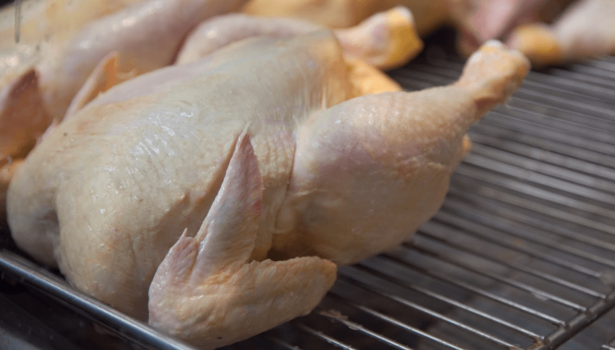 pollo