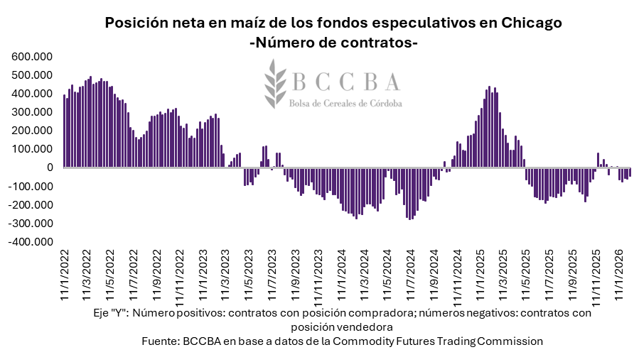 posicion maiz bccba