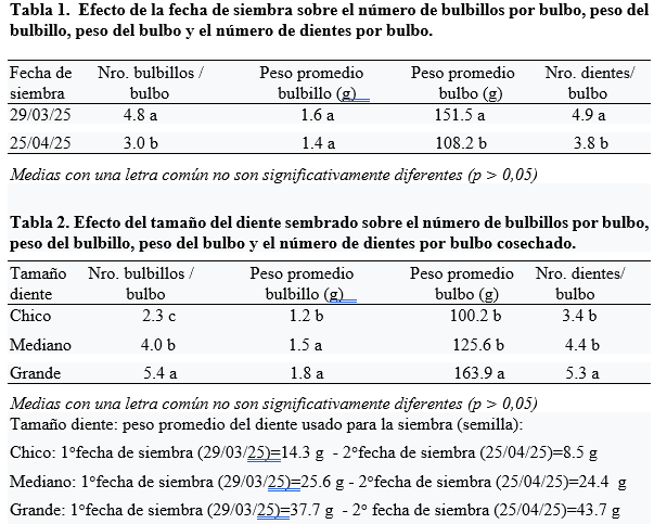 tablas ajo elefante