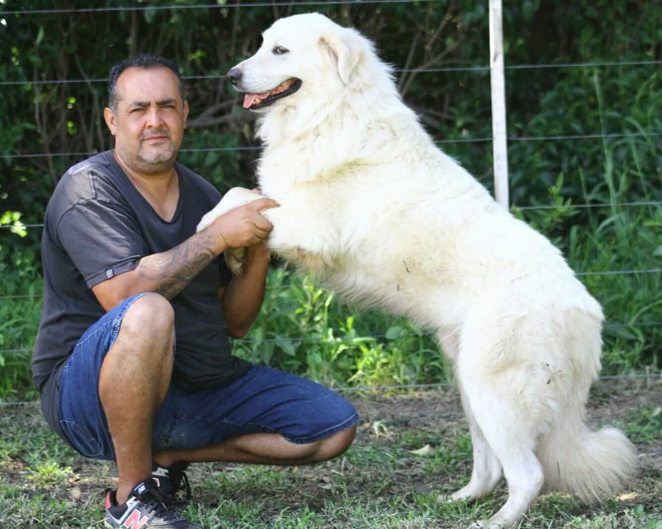 MEDINA y perro08