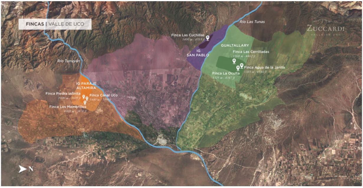 Zuccardi fincas