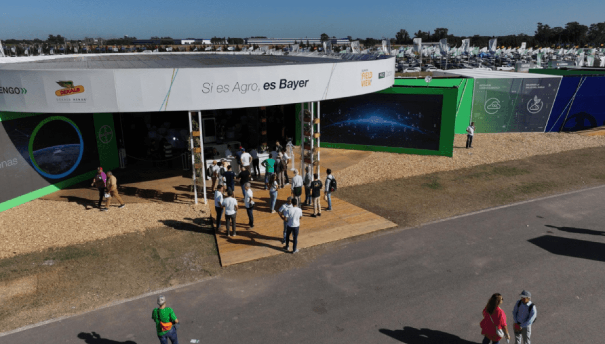 bayer