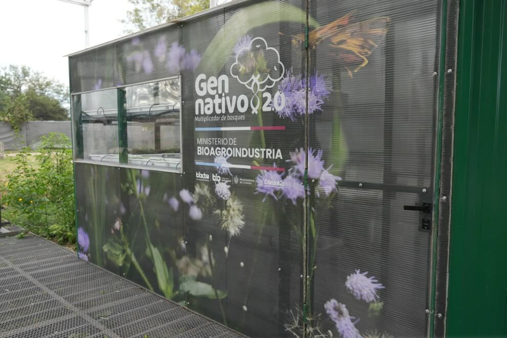 gen nativo cba