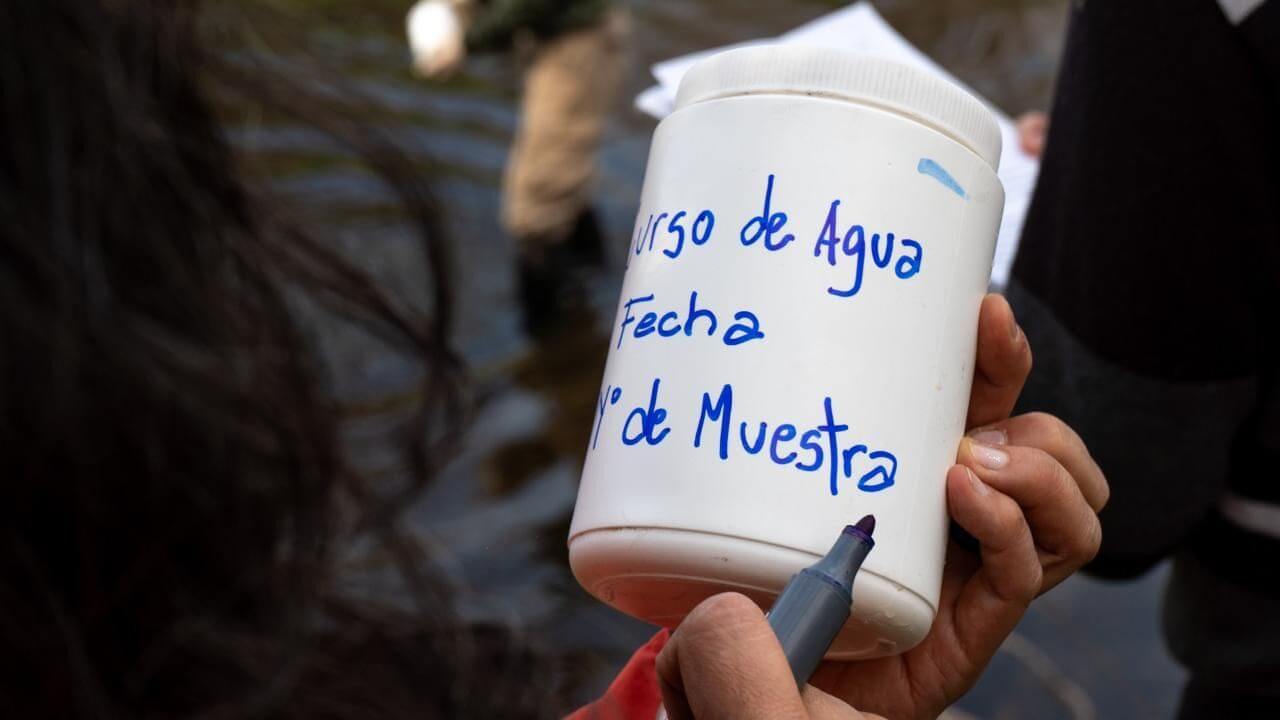 peces carcarana