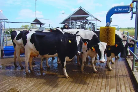 GACE TAMBO 2.jpg