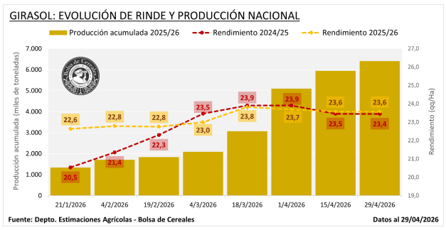 grafico girasol