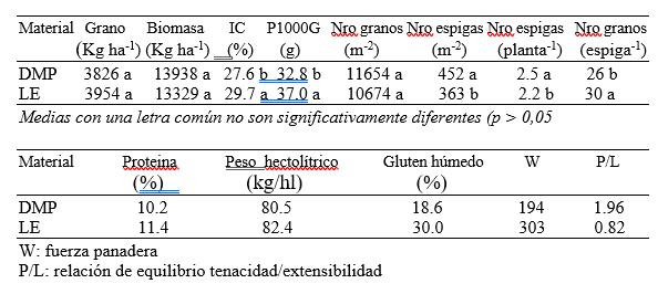 maich trigo 1
