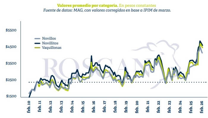 La hacienda busca un nuevo equilibrio: tras el pico de precios, corrección a la baja y mayor cautela 1 rosgan 1 1