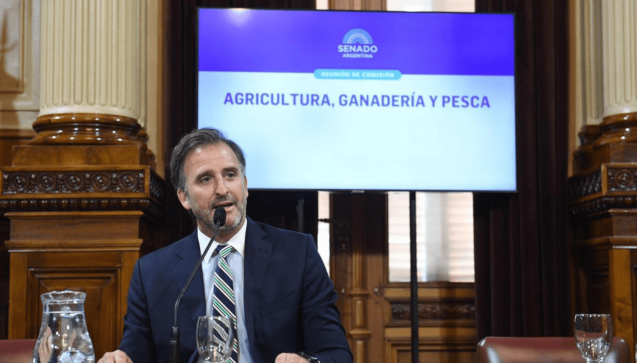 Benegas Lynch: "Los países que crecen son los que no dejan que algunos cacen en el zoológico" 1 benegas lynch